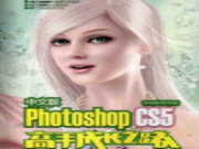 中文版PhotoShop CS5高手成长之路PDF电子版下载